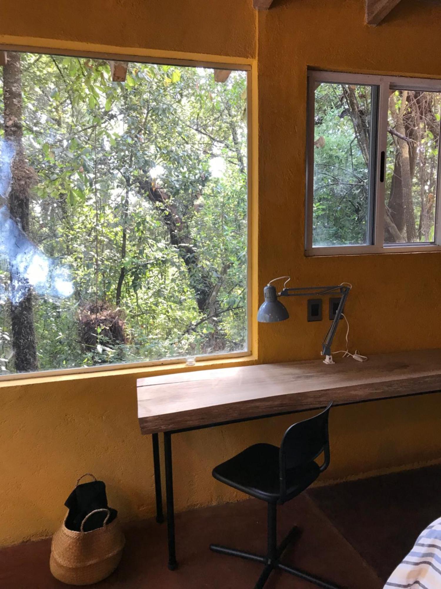 La Cabana Azul Al Fondo Del Bosque De Tepoztlán Exteriör bild